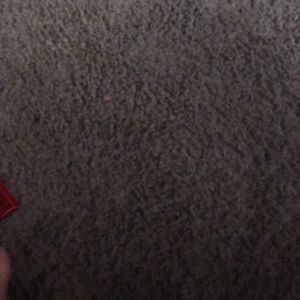 Meet your Posher, Shan